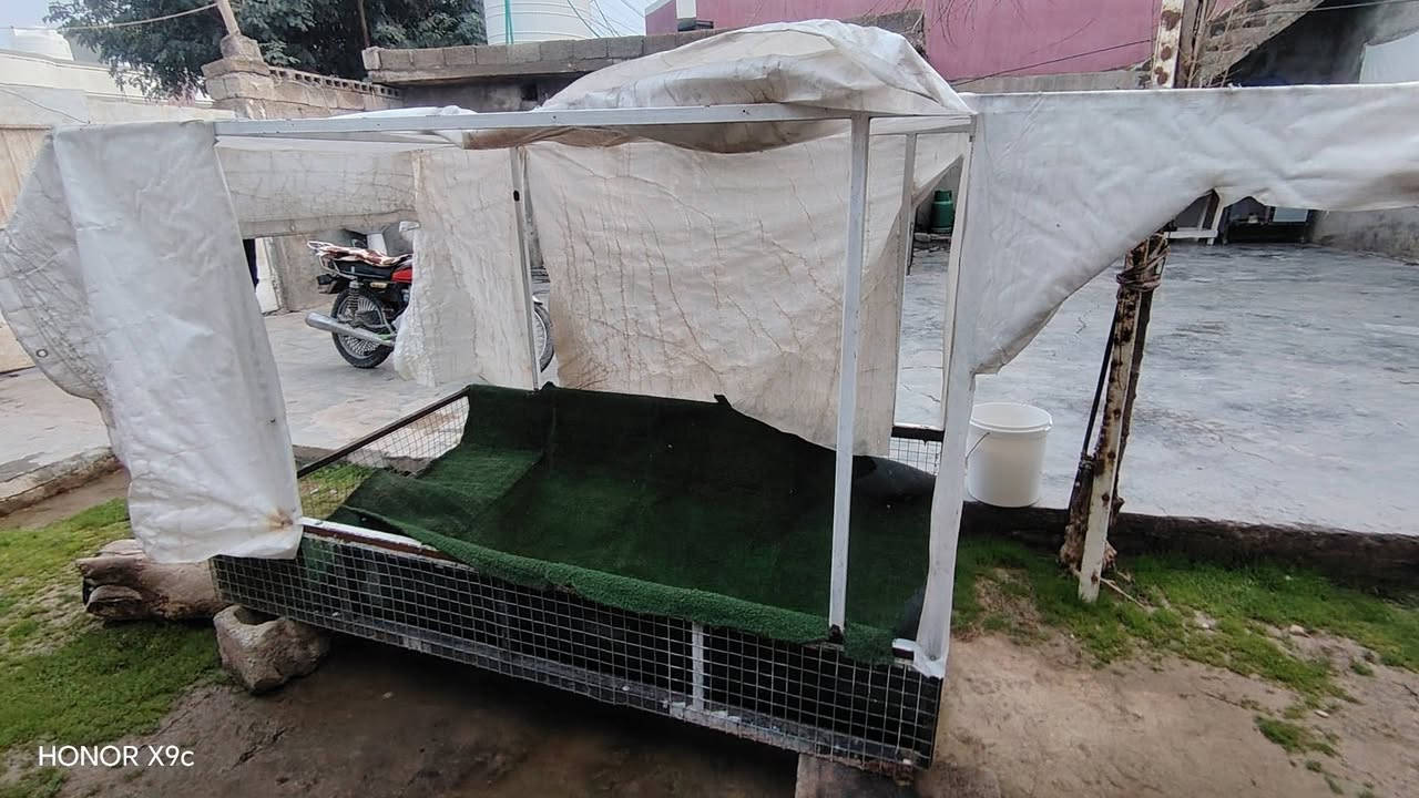 ️ السَّلَاْمُ‌ ‌عَلَیْکُم‌  ئەم کەپری کەریم کابانە بۆ فروشتن بۆ بەقالیە دوو بەشە وەک لەوینەکە دیارە ئەو بەشەی خوارەوە لەجیگای دەرگای ماتورەکە دەی بەستی  دەبیت دەرگاکان بکەینەوە هەتا بڵی کەپریکی ڕیکو پێکە هەڕ کەسیک موشتەریە نامە بنیرین سعری گونجاوە


**إذا كنت صاحب هذا الإعلان وتريد حذفه لأي سبب، رجاءا أرسل رسالة إلى الدعم الفني**