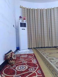 سبلت كنتوري • طنين • الدير