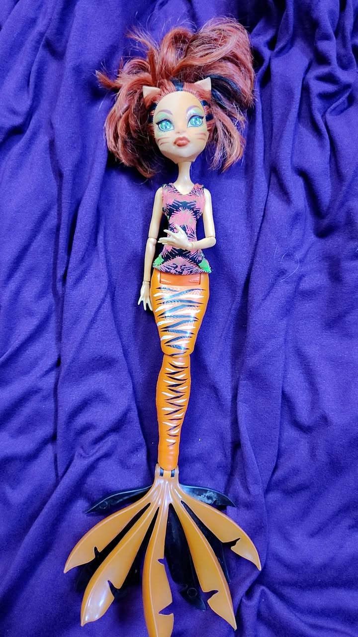 ‏كل الكلام متأرجح حتى تثبته المواقف 

مجموعة monster high 💎


**إذا كنت صاحب هذا الإعلان وتريد حذفه لأي سبب، رجاءا أرسل رسالة إلى الدعم الفني**