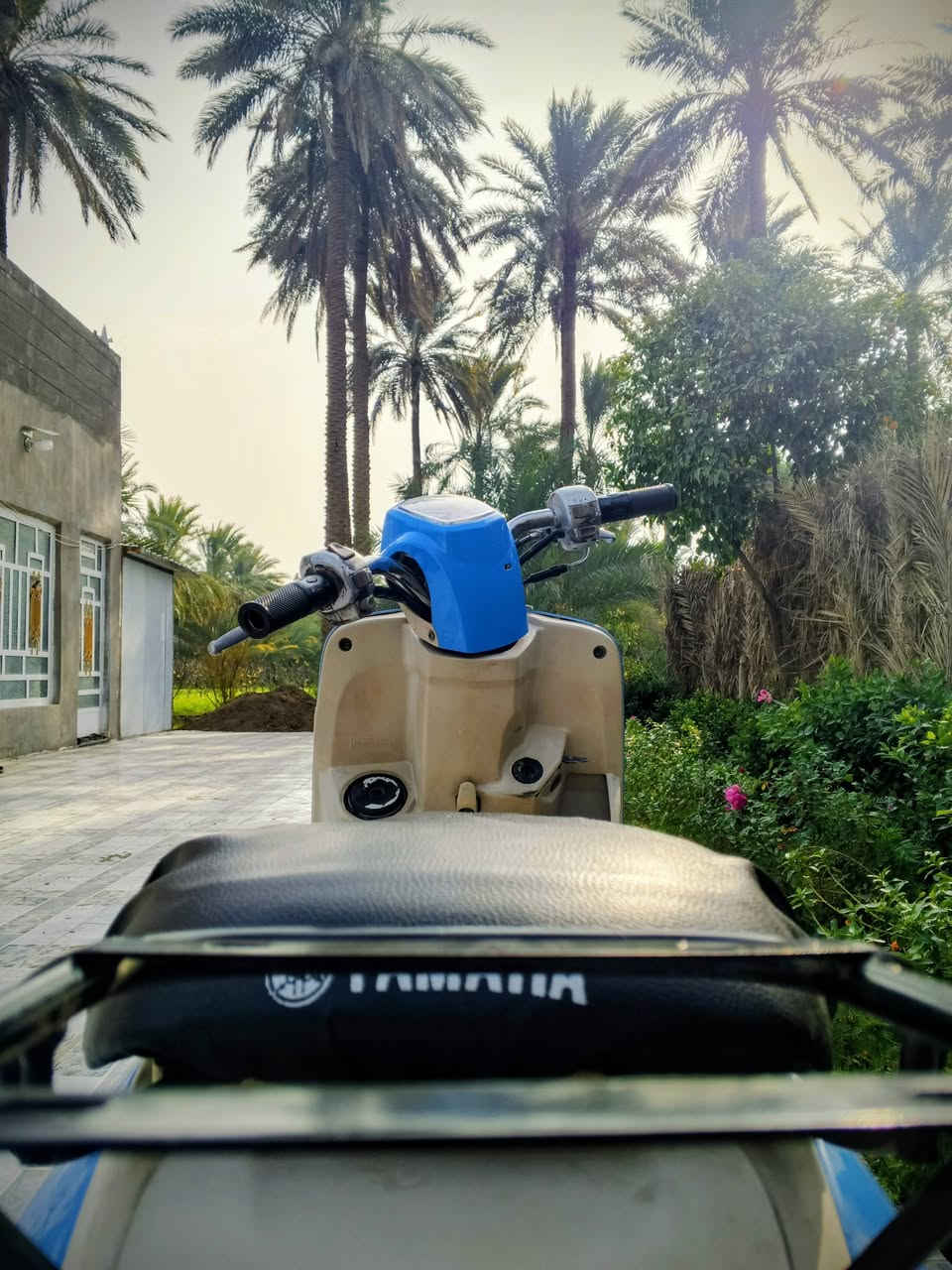 السلام عليكم دراجه ماكس بوليسي ياباني موديل 2008 كفاله عامه نظيفه جدا توصل مع هذا رقم ***********
