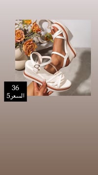 اكسبلور