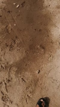 حي الفلاح • أرض زراعية • ٢٠٠م