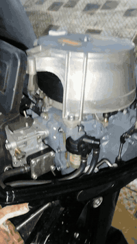 *********** *********** 18-24
