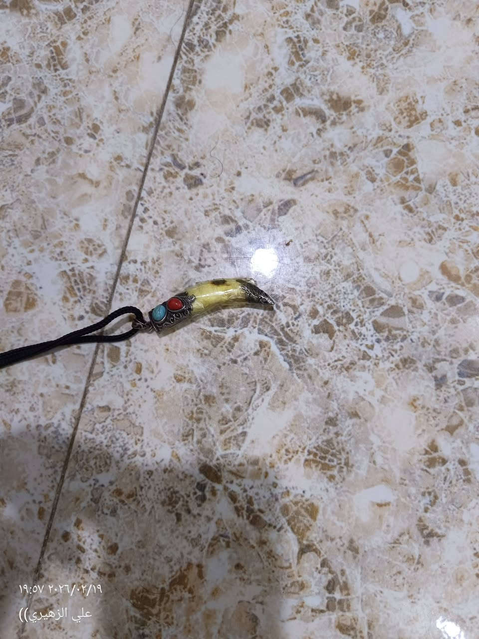 سن الذيب اصلي عنوان واسط دجيلي ***********
