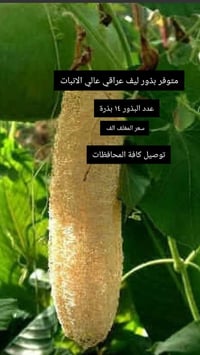 ديكور • حديقة • تواصل بالخاص