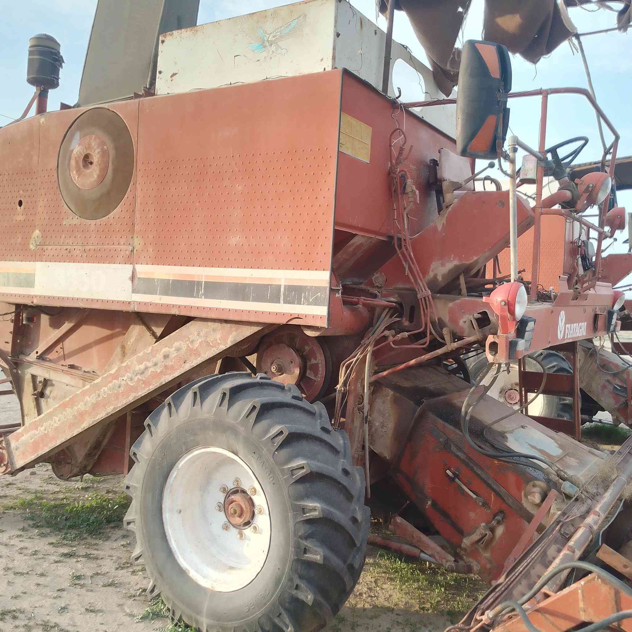 حاصدة لأفرادا للبيع مكفولة كفالة عامة للاستفسار المراسلة على الخاص أو الإتصال على الرقم  ***********
