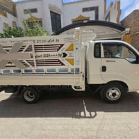 كيه حمل 2026 كفاله عامه رقم بغداد جاهزه تحويره ومحجر 07816456230