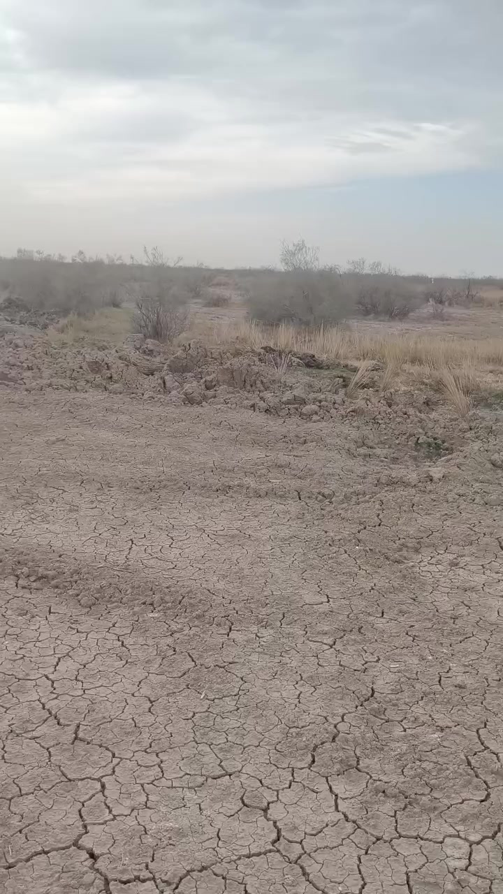 سلام عليكم كاع خمس دوانم يم اليشان مقابيل شارع المشايه  يم المدارس جوه غاد من جامع شبيب يطلع عله طريق ال زاجي وره بيت شالال يقارب كيلوين عنه  هذه رقم ولستفسار *********** سعر خاص
