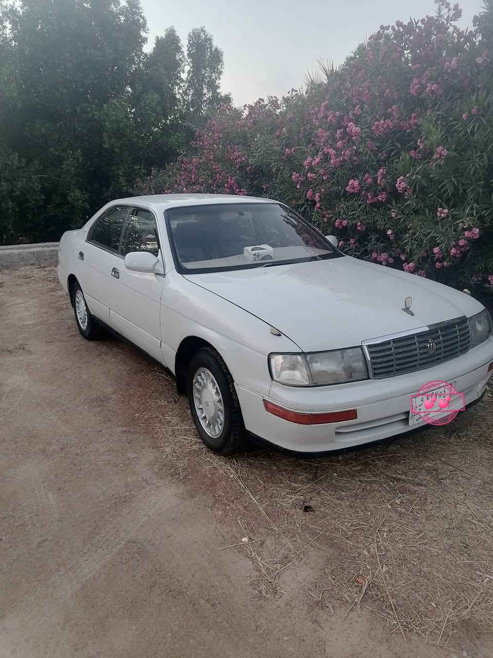 مكلف بالنشر //
كروان بطه متصل /// 1991 رقم بغداد مشروع وطني سنوية 2026 مكينة 2500 ديلكو مكينة وگير شرط لاتنقيص ولاتبخير مكفولة من الكص والنقل والاصوليات //كهربائيات شغالة تبريد شغال سيارة مال جناي   ...  تشوف بعينك وتفحص وتطلع تراي وين ماتريد //// السعر مناسب اتصل وتدلل   ///  ***********
