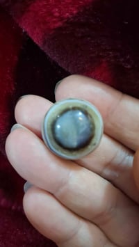 جزع بقري • عقد لسان • بغداد