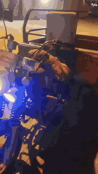 ستوته للبيع موديل 20مكينه24مكفوله ستوته مكفوله من شاصي وركبه السعر 1450 وبيه مجال حك  الجيه مكاني حله محاويل ***********
