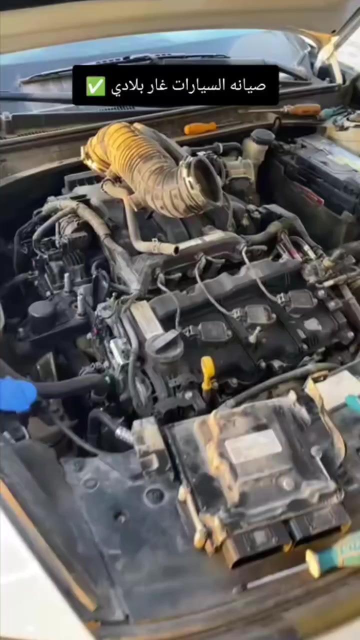 بوجود الخبير الدولي هاني الأمريكي
متوفر صيانه السيارات الغاز وبانزين ✅ 

متوفر جميع قطع غيار المحرك ✅

متوفر جميع قطع غيار الكهربائية ✅

متوفر جميع المرايات الجانبيه ✅

عرض يوم الجمعه من فرع الديوانية ✅

تصليح وتبديل جميع الماطور ✅

 الشفط المرايات الجانبيه ✅

فقط 10 الف يوم الجمعه ✅ 

قطع غيار السيارات ✅
تشخيص الاعطال ✅
برمجة جميع السيارات ✅ 
برمجة مراوح✅  
تصليح وبرمجه عقول ✅
الغاء كوادت ✅
تعديل ـ تزويد ✅
فتح سرعة ✅
صيانه منضومة البانزين ✅
صيانه غرفه الاحتراق ✅

العنون التقيه الثالثه مجاور مازن البنجرجي

 *********** حسنين 
*********** ازهر 
يوجد توصيل الجميع المحافظات
