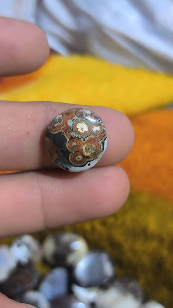 داودي يماني ملكي قطع تخبل اسعار مناسبة تعال خاص وبخدمتك


**إذا كنت صاحب هذا الإعلان وتريد حذفه لأي سبب، رجاءا أرسل رسالة إلى الدعم الفني**