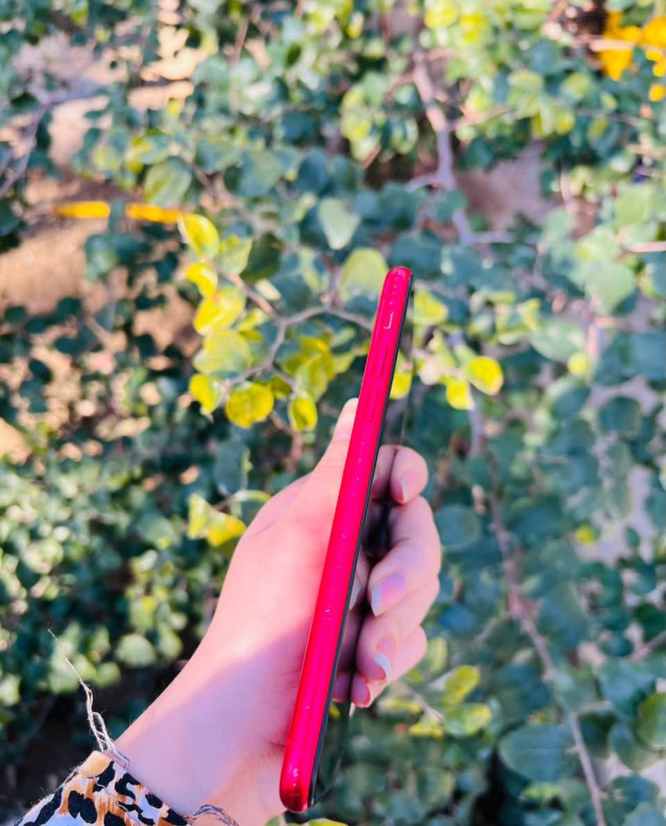 مكلف ب نشر  رجا
ايفون 11 عادي❤️
ذكره 128 🖤
مبدل شاشه اصليه تفصيخ 🫰🏻
نضافه فول 
مكفول وكله شغال 🫴🏻@
بطاريه 71 بلاديه 
فيس ايدي كامرات كله شغال ❄️
مكاني واسط كوت 
سعر 240 💸بي مجال كلش قليل 
شراي يتصل ***********
