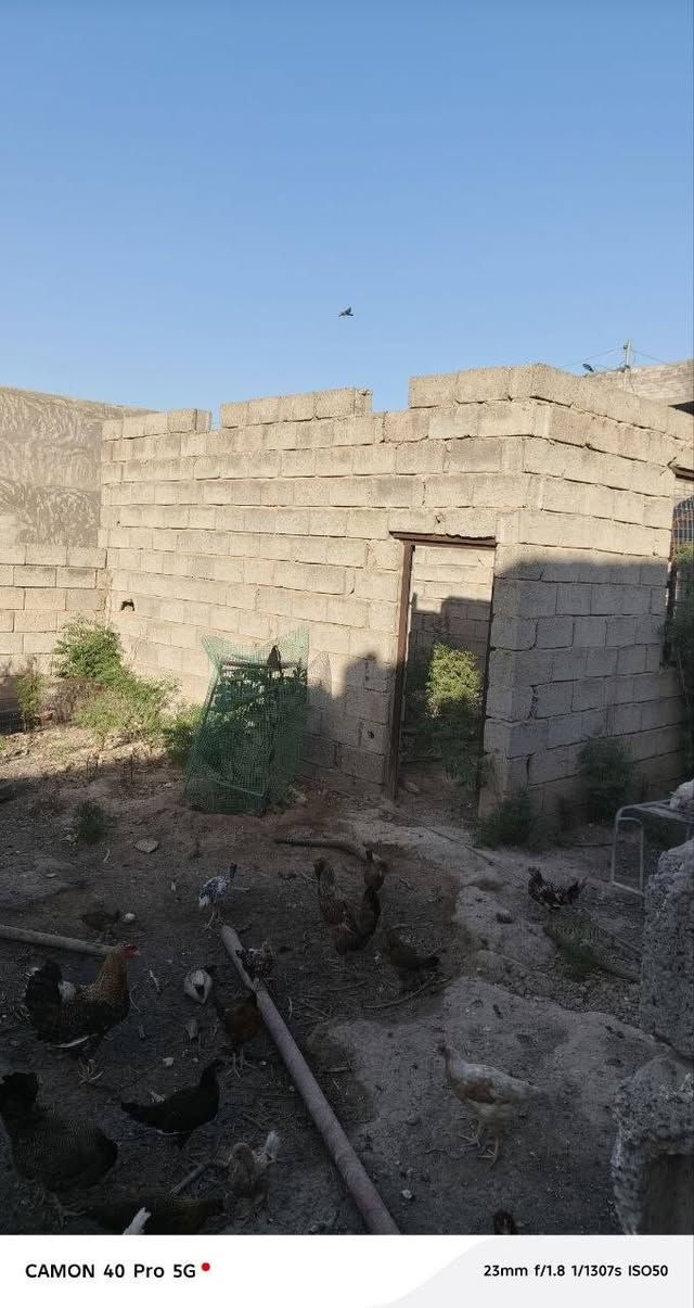بيت للبيع مساحة 800 مع غرفة استقبال وغرفتان نوم ومطبخ وحديقتان وقطعة خلف البيت الموقع دائرة الكهرباء حي الوحده للاستفسار على الرقم ***********
