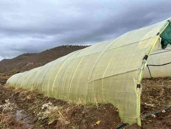 4 بەیتی ملیمو نیو بۆ فرۆشتن
لایلۆن و تەلی تازەیە
بە کامل ئەشیاکانیەوە
شوێن بازیان

سـعـر : لە کۆمێنت داوابکە ڕاستەوخۆ بۆت دێت 📥 

هیچ کێشەیەکی تێدا نییە 

ژمارەی خاوەنەکەی 
***********
