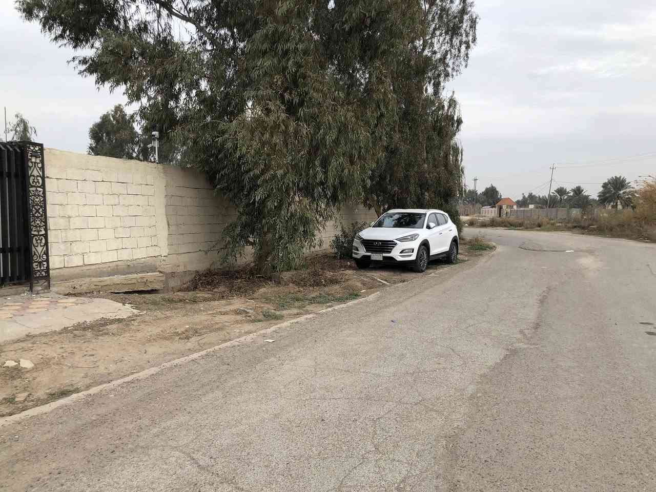 السلام عليكم من رخصه ادارة الكروب المحترم 

عندي مزرعة مساحته 1100 متر سند 25 على

طابو الزهور بسمي (( الواجه 33 / 35 نزال )) 

العنوان : بغداد / الراشدية / السوامره مجاور البحيره )

بيه مدخلين امامي على شارع تبليط 

ومدخل خلفي على فرع 

الخدمات / كهرباء وطني + سحب مولد + 

الماء بدون ماطور قوي + انترنيت + منظومة كامرات

                           👇🏻التفاصيل 👇🏻

تحتوي على {{ غرف عدد 3 مع كافه وسائل الراحه 

من سبالت ومبرده وثلاجة ومراوح وماطورات ماء 

+ مطبخ متكامل الخدمات وغراض الشوي 

+ مجمع صحيات شرقي وغربي متكامل 

العاب اطفال ترفيه + كعدات استراحه 

خارجيه + اقفاص مال محميات للحيوانات والدواجن

منظومة مرشات سقي للارض 

السعر ب 180 مليون وقابل للتفاوض 

رقمي ***********  

[[ مصوره فديوات واضحه + صور + موقع المزرعه 

منطقه متكاملة الخدمات ]]
