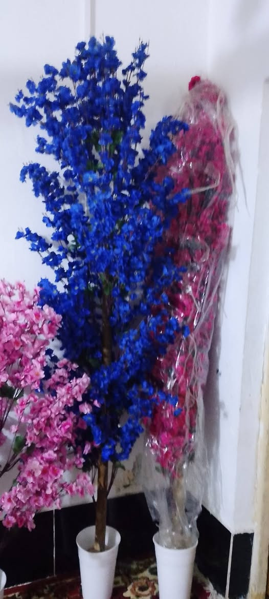 شجرالوحده رتفاعه مترين وعشرين الوردكثافه بيه سعر25ارخص من بغداد شرط ولي واسط 15تصفيت محل ***********
