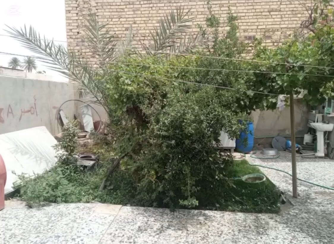 بيت زراعي 250متر في الكوفة فلكة الدلال شارع العيسى عمود 36
طابقين يحتوي على استقبال ومطبخ وصاله مفتوحة ومكشوفة وحمام داخلي وخارجي واربع غرف نوم وحديقة 
بناء طابوق نهروان اساس وصقف صب كونكريت الأرضية كاشي والجدران سيراميك وسقوف ثانوية للاستفسار الاتصال على ***********
