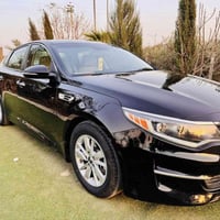 ٢٠١٧ • وارد امريكي • صبغ خلفي