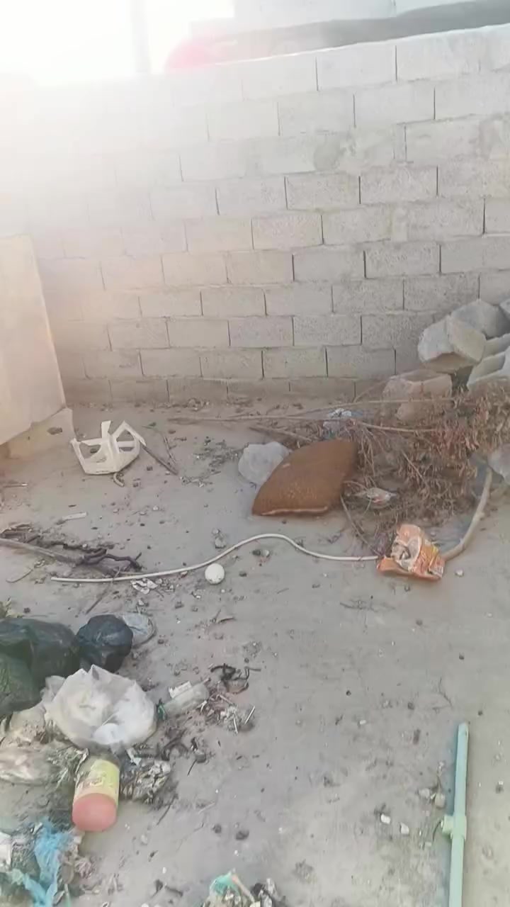 ياالله سلام عليكم بيت البيع يحتوي عله غرف نوم ثنين ومطبخ وصحيات وحمام سوه مثل ما شوفون كدامكم العنوان الشعله قلعت عكيل السعر جدن مناسب التواصل ***********
