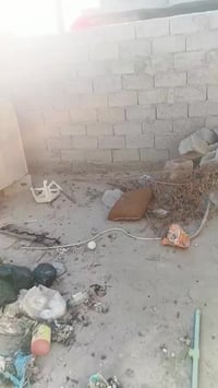 ياالله سلام عليكم بيت البيع يحتوي عله غرف نوم ثنين ومطبخ وصحيات وحمام ...