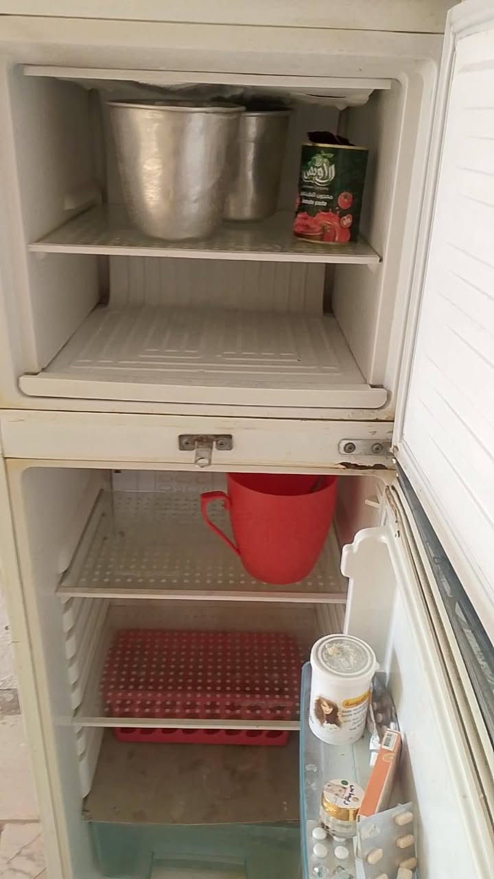 قراض نضيفه كلمن وسعرهن


**إذا كنت صاحب هذا الإعلان وتريد حذفه لأي سبب، رجاءا أرسل رسالة إلى الدعم الفني**