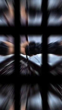 كامرة نيكون 5100 • بعقوبة