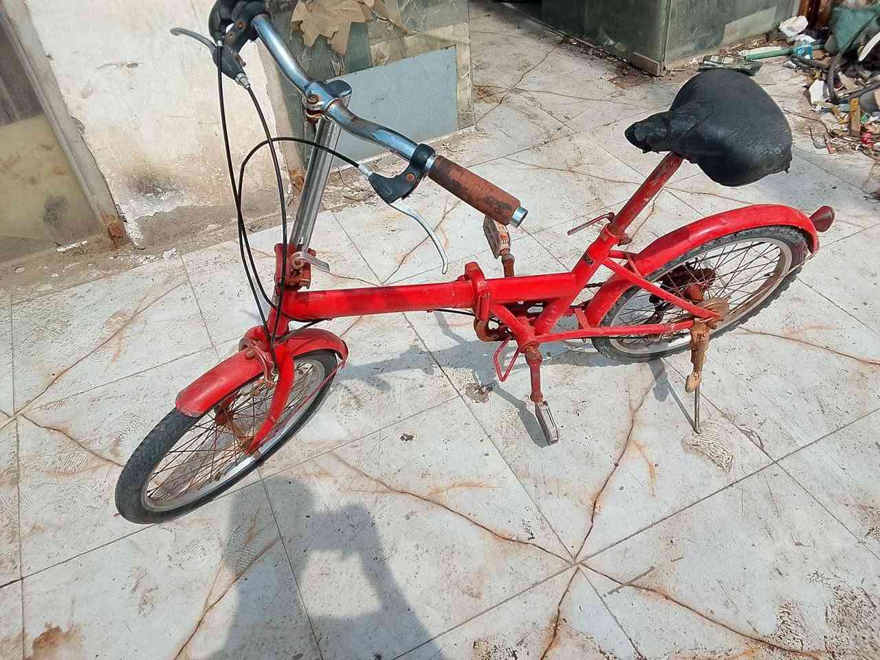 بايسكل طباگي حجم 20 اللون احمر كامل ما بيه عطل كلشي بيه شغال البريكات شغالات بالمكان والبدالة تشتغل ممتاز والطبگة تشتغل البايسكل خفيف وسريع ،،،فقط بيه صبغ قليل على الاطراف الكفات والرقبة بس ،،، المكان ،گرمة علي ابو صخير سوق ابو صخير .بيه مجال البصرة, العراق


**إذا كنت صاحب هذا الإعلان وتريد حذفه لأي سبب، رجاءا أرسل رسالة إلى الدعم الفني**