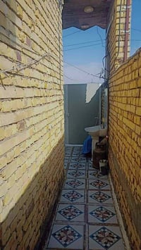 الكوت الجديده • طابو زراعي • ١٠٠م