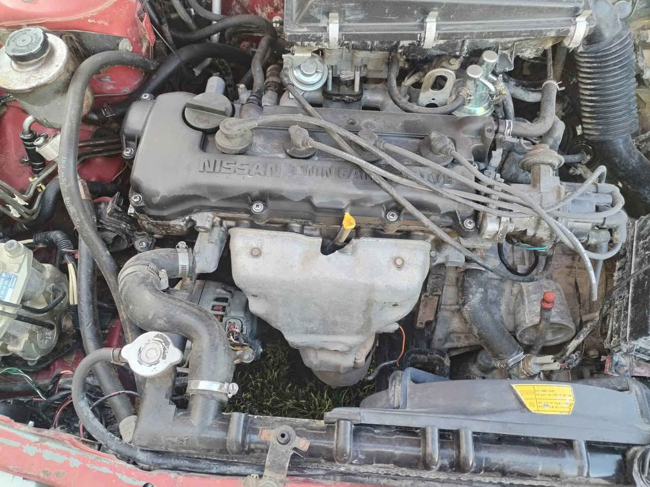 سلام عليكم ورحمة الله وبركاته من رخصت مسؤل الكروب سياره نيسان موديل ٩٤فول اوتوماتيك محرك وكير بشرط صدر خلفي أمامي شرط حساسات خلفيه اماميه لايت زنون سياره مال جناي فعلاوشوف العين يبري الذمه تخم تايرات جدد تدفئه نار وتبريد عاطل بدون صبغ ولاظربه رقم الانبار تريد تحويل تريد وكاله السعر ٣٥ وبيها مجال وترهم مراوس حسب القناعه وحياكم رقم الهاتف ***********
