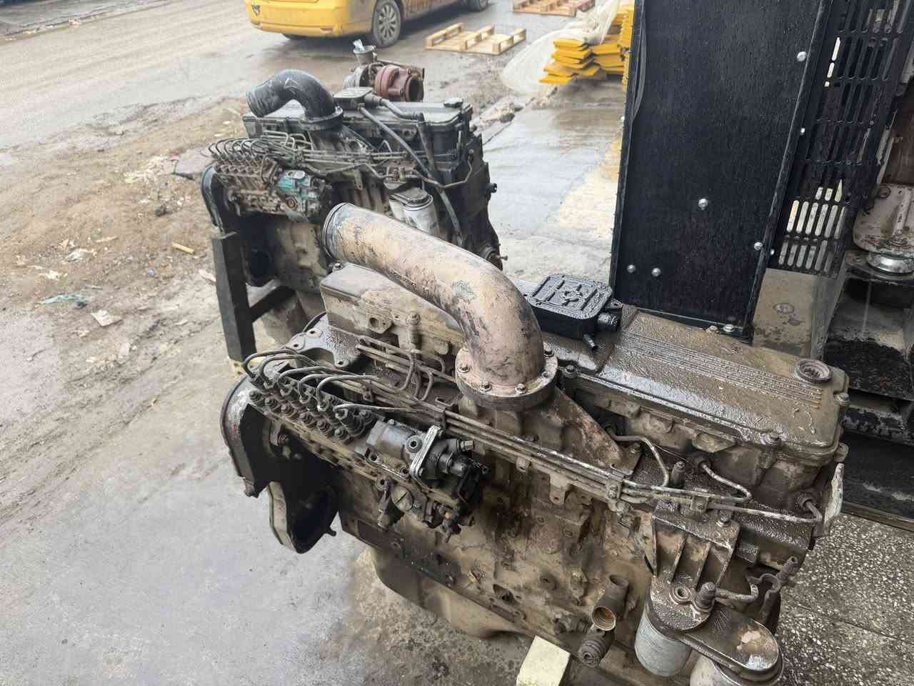 سلام عليكم متوفر كمنز "114 24 ولف  يبخران  المكان كراده 52. التصال***********
