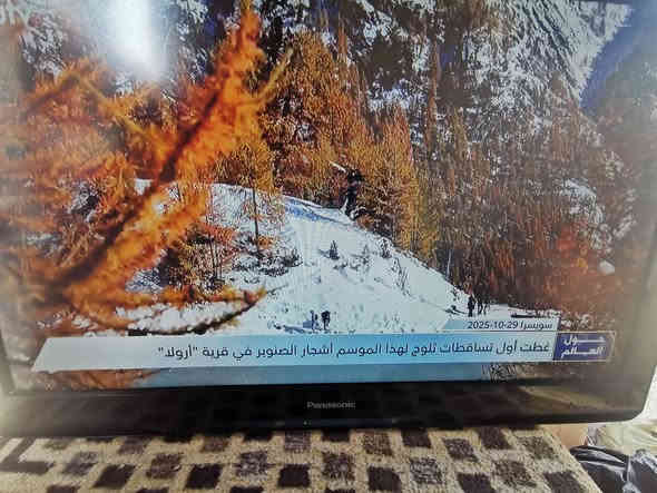 سلام عليكم عندي شاشه نوع بنوسونيك ماليزي اصلي حجم 32 بدون نت نضيف السعر 55 الف البياع حي الرساله الأولى قرب مدينة العاب الكرخ تلفون ***********
WhatsApp +964***********
