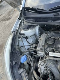 النترا • ٢٠١٥ • مكفولة