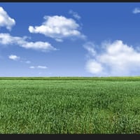 كربلاء • ٣٠٠دونم • مرشاة محورية