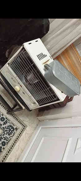 زۆپا پاک و جوان بیعه یب به شه رت بۆفرۆشتن 
نرخ:٣٥هه زار
شوێن:سلێمانی
تێل:*********** السليمانية
