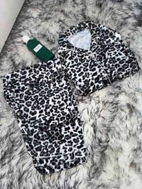 بجايم شتوي • جميع القياسات • توصيل