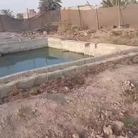 الدفاس • ١٢ دونم • سند ١١٧