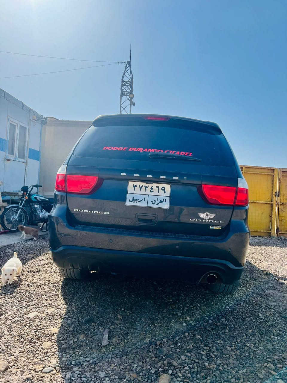 للبيع: دودج دورانكو 2011 6سلندر فول1\1  – لون نفطي رقم اربيل 
خيارات المراوس: قابلة للمراوس بـ دورنكو  او جيب مديل احدث 

حالة السيارة:

       • صبغ 3 قطع فقط صبغ بدون فتح 

__فئة سيتاديل____

المواصفات:

 1. فتحة سقف

 2. مراي قلاب عند الرجوع

 3.  تبريد 3 قطع تحكم منفصل 

 4. كاميرا 

 5. شاشه 

 6. حساسات خلفية

 7. جنطة كهربائية

 8. مرايا كهربائية مظللة (الوسطى والسائق) عند التعرض للضوء في الليل

 9. كشن ميموري +كشن الراكب ولسائق كهربائي 

 10. تدفئة وتبريد كشنات امامي +تدفئة ستيرن+كشنات خلفية تدفئة

 11. أشاير بالمري

 12. كاميرا 

 13.  تشغيل عن بعد

14.منفذ كهرباء

15.رادارات اماميه+رادارات جانبيه

وبيها بعد مواصفات 

______بكانهاا ميسان 

للاستفسار: خاص أو واتساب او اتصال ***********
