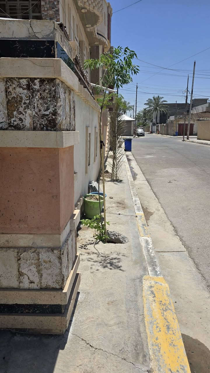يراد حملة تشجير بكل انحاء،الفلوجة 
شجرة السبحبح  شجرة تتحمل حرارة وسريعة النمو وتتحمل اجواء،العراق،وسعرها مناسب. ١٠ الاف شجرتين ب١٥ الف  دينار نتمنى من كل شخص    امام بيتة يحفر حفرة من الرصيف ويزرعها هم تعطي جمالية للشارع وهم  يكون ظل لسيارة  ويساعد في مكافحة التصحر،وحرارة الاجواء

كل هاي العملية كلفتني ١٥ الف دينار


**إذا كنت صاحب هذا الإعلان وتريد حذفه لأي سبب، رجاءا أرسل رسالة إلى الدعم الفني**
