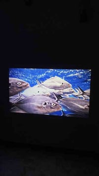 داتا شو Yuzino دقه 1080p حقيقي مع امكانيه دعم دقه 4k  تنربط مع جميع ال...