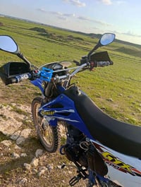 كاويار • ماطور • ٢٥٠