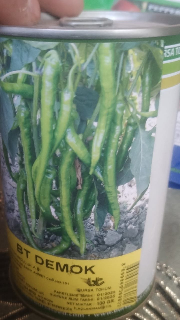 السلام عليكم
يوجد شتل 
فلفل حاد نوع فروله
فلفل مدعبل نوع اميرال
فلفل بورصه اصابع
شتل باذنجان نوع رافدين
***********
