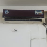 سبلت • ٢ طن • نضيف