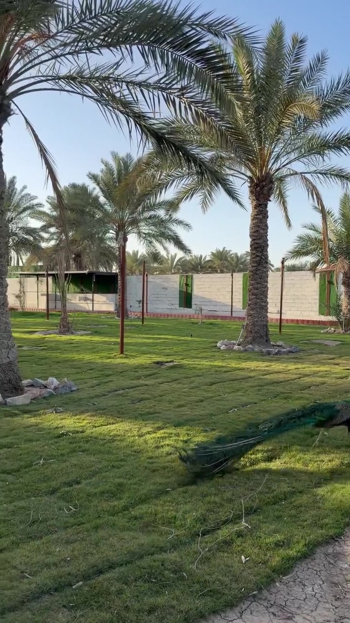 مزرعة الملوك - ابو غريب

مزرعه VIP كامله متكامله تحتوي على 

مسبح مغلق ماء دافيء 🏊‍♂️🌊

العاب كبار كل من بليارد-منضدة-فيشة 🏓

حديقة ب مساحة 2500 متر تحتوي على كافة الحيوانات والطيور 🦅🐓🐧🦆

جلسات خارجية وداخليه متنوعة وحديثة 💺

غرف نوم عدد اثنين مع جلسه للمطبخ مطلة على الحديقة.🛌

كراج كبير جداً يتسع 12 سياره 

انترنيت وكهرباء 24 ساعه 

مكان للشوي كامل 🍖

العاب اطفال متنوعه وحديثة 🎯🎳

للحجز والاستفسار التواصل على 

***********
او متوفره ب تطبيق اجرلي ب اسم مزرعه الملوك ابو غريب بغداد

