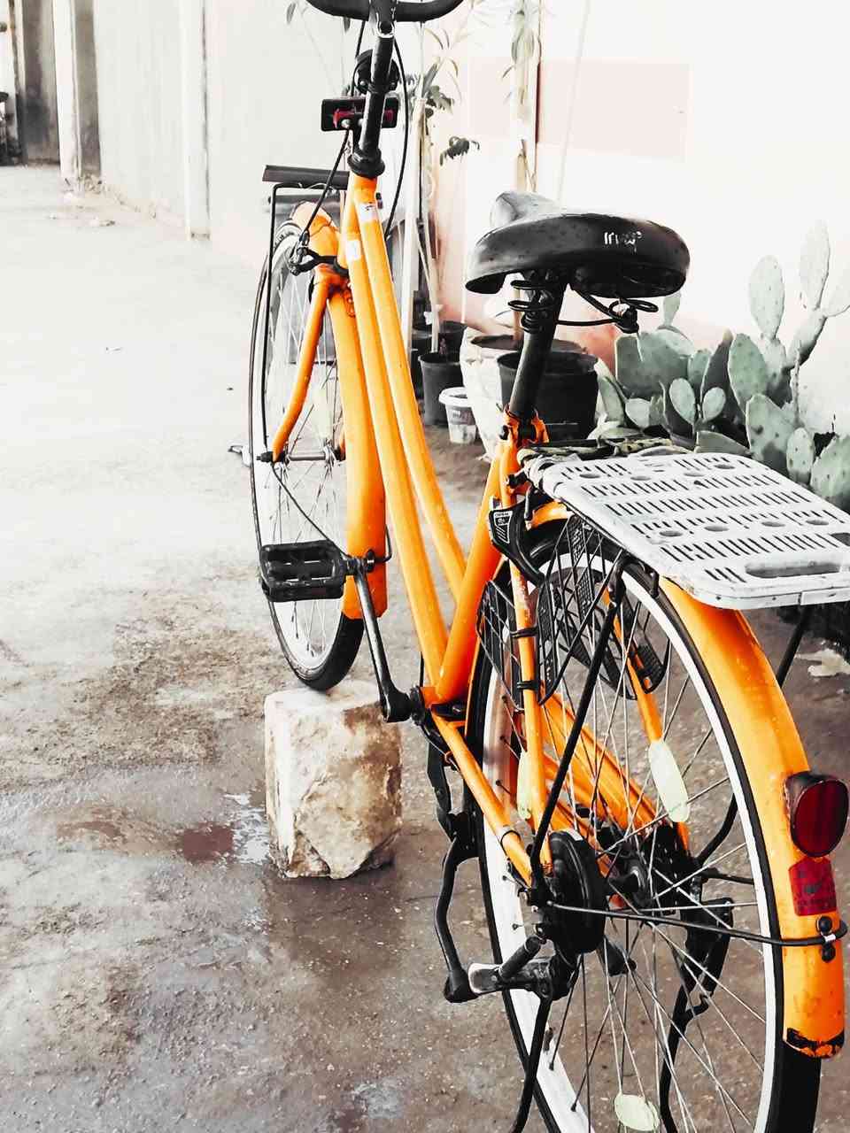 سلام عليكم شباب
باسكل للبيع مكان نجف 
باسكل نضافته75٪
موديل 2021
لون مميز 🍊🧡 السعر 125وبي مجال 
حك الجيه الموشراي لايراسل 
متواجد على الفيس 
رقم ***********
