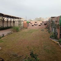 دوانم زيونة • ٦٥٠م • طابقين