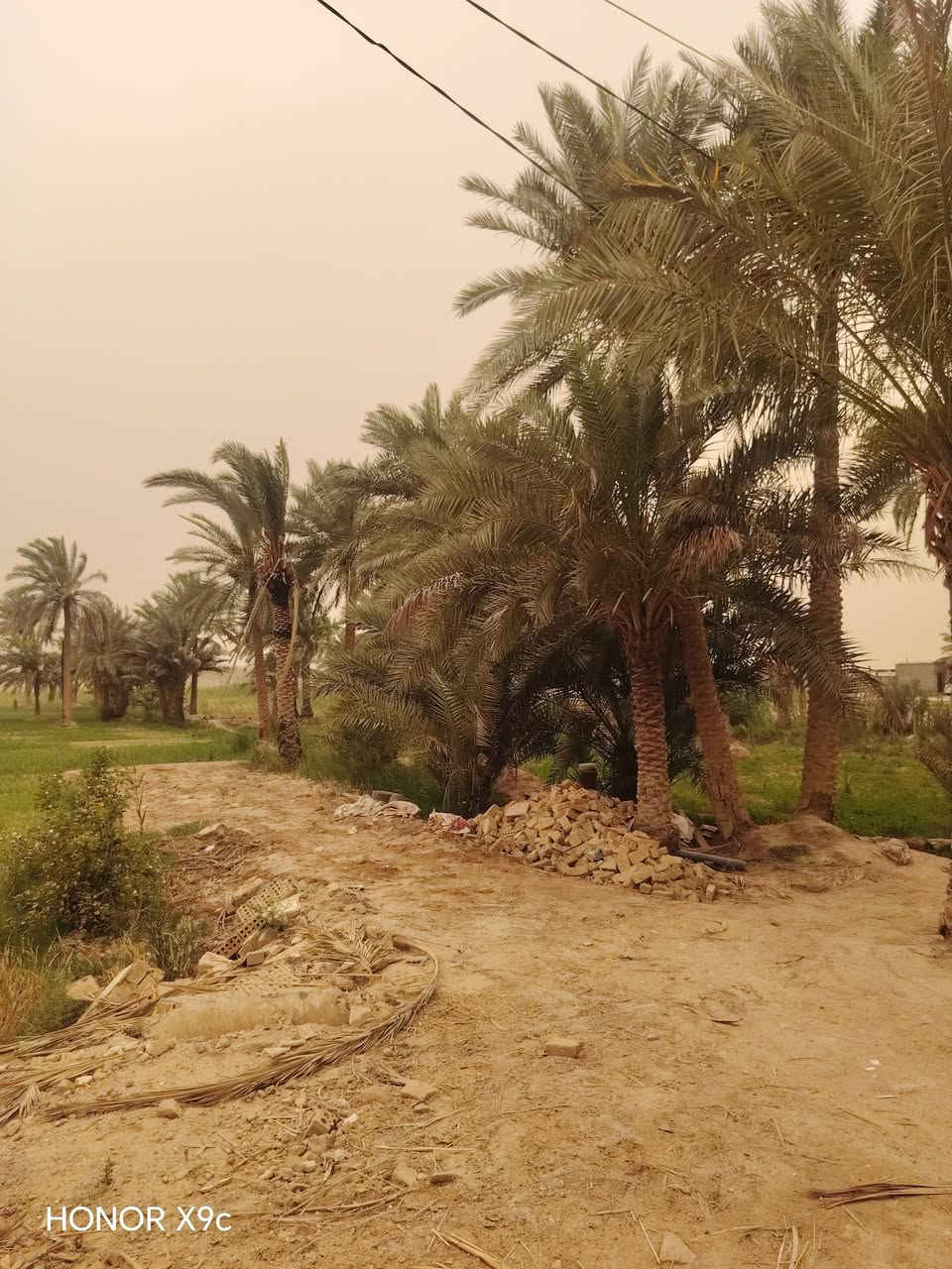 السلام عليكم
ارض زراعيه منطقة البركات على نهر الغازي تبعد عن الشارع العام 2 كيلو متر دونم ونص طابو زراعي سند ٢٥ والباقي ١٠ دونم عقد زراعي ماء اساله +كهرباء للاستفسار الاتصال على الأرقام  - *********** - *********** واتساب
