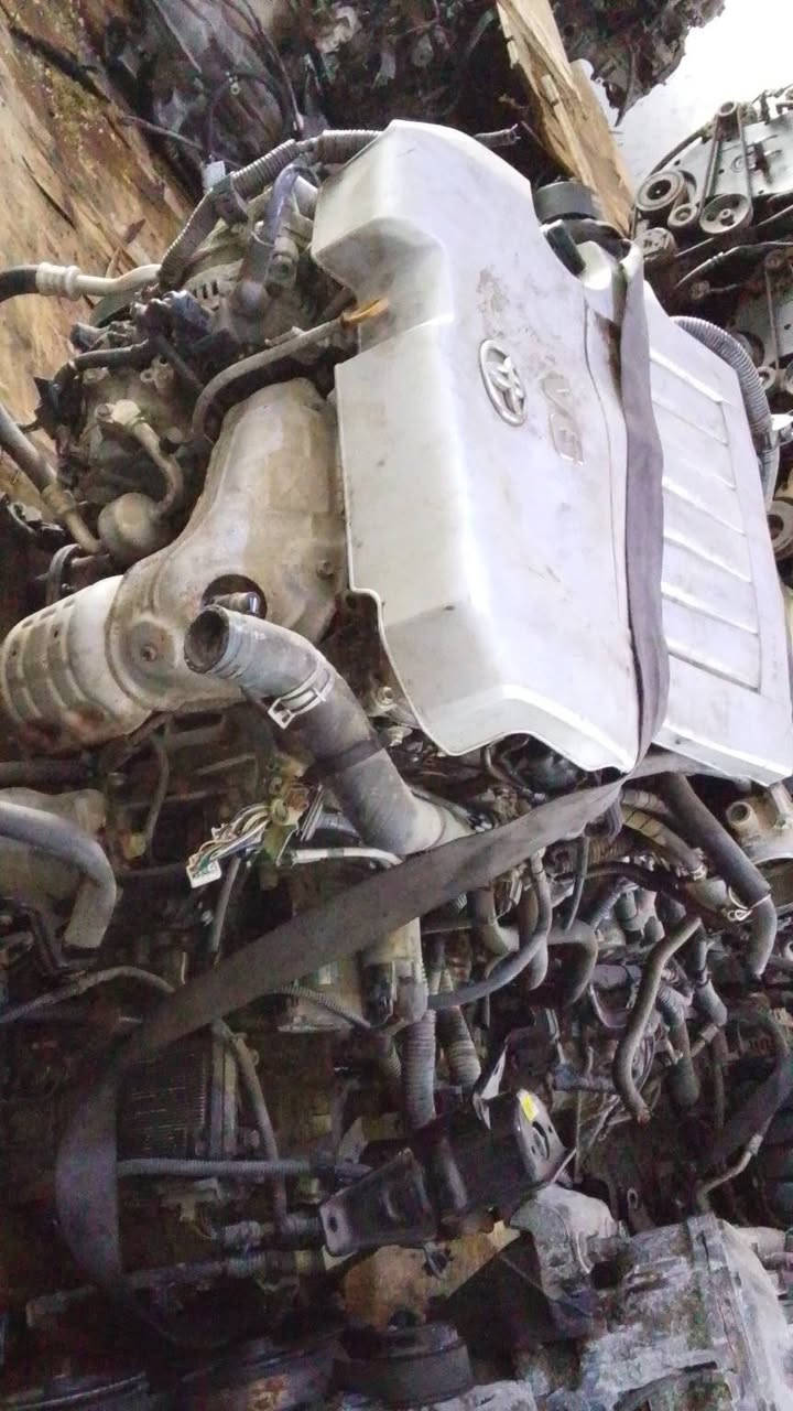 سلام عليكم ورحمة الله وبركاته يتوفر لدينا محركات السيارات اليابانية محرك افلون 6سلندر حاوية وارد مال كصة .

العنوان :بغداد الطالبية ساحة 83 (مجمع بغداد)
للتواصل الاتصال:على هذا الرقم 
(***********).

يوجد فيتر فتح وشد جميع أنواع السيارات 

البيع جملة مفرد .
