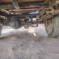 ستوته • صقر • مكفوله